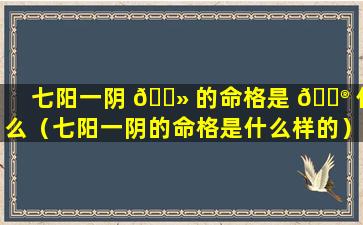 七阳一阴 🌻 的命格是 💮 什么（七阳一阴的命格是什么样的）